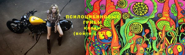 каннабис Бородино