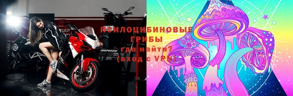 сатива Верея