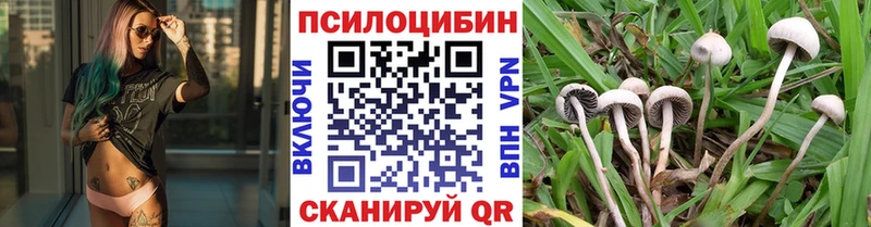 OMG сайт  купить наркоту  Верещагино  даркнет клад  Галлюциногенные грибы Psilocybine cubensis 